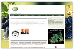 aisavellino.com